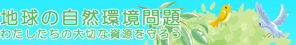 地球の自然環境問題～わたしたちの大切な資源を守ろう～